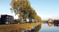 Groep de Mos wil opheldering bomenslachting Wateringse Veld