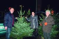 Kerstbomen Cash & Carry Erasmus levert de mooiste bomen!