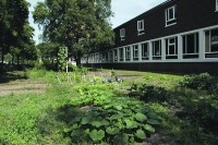 Buurtmoestuin Keu’s Genoeg