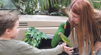 Zomeractiviteiten bij Avonturia de Vogelkelder