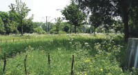 Vierde stip voor ATV Zonnegaarde
