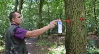 Groot onderhoud langs paden Haagse Bos