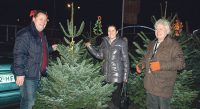Kerstbomen Cash & Carry Erasmus levert de mooiste bomen!
