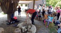 Schaapscheerdersfeest op De Nijkamphoeve