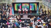 Gratis Ooievaars Kunst en Cultuurfestival