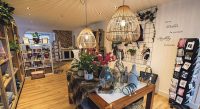 Onthaasten bij Cosy Cosas