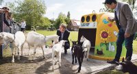 Den Haag doet Glas in ’t Bakkie