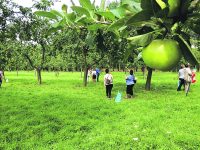 Kom fruit plukken in De Uithof