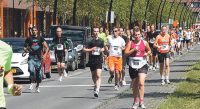 Wateringse Veld Loopfestijn