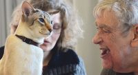 Samen met jouw hond of kat vrijwilligerswerk doen